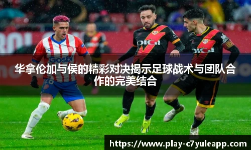 c7娱乐官方网站